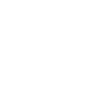 the-first-1